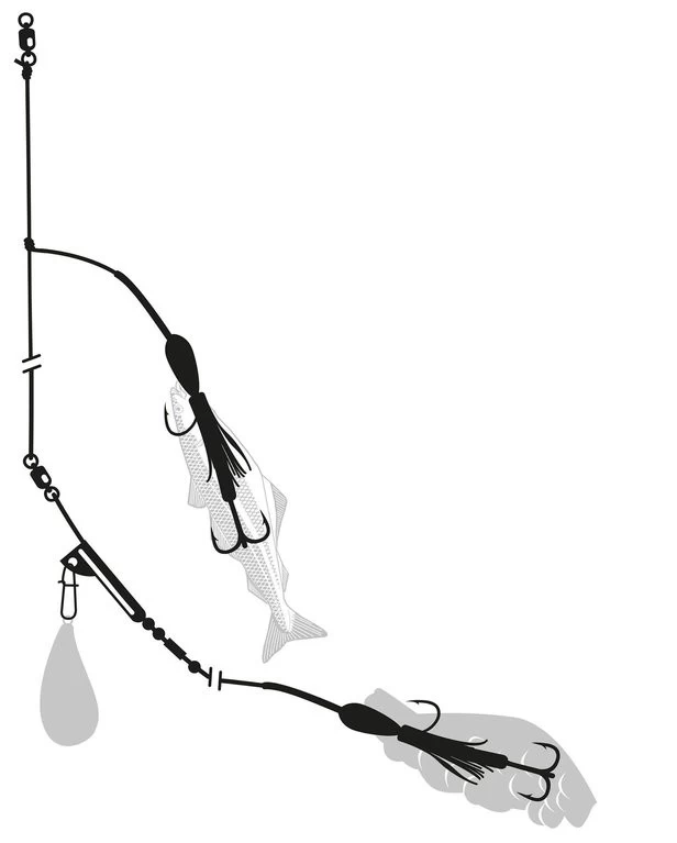 Zebco Lumb Rig Selbstleuchtend 7/0 + 2/0 - 1,20mm - 65kg